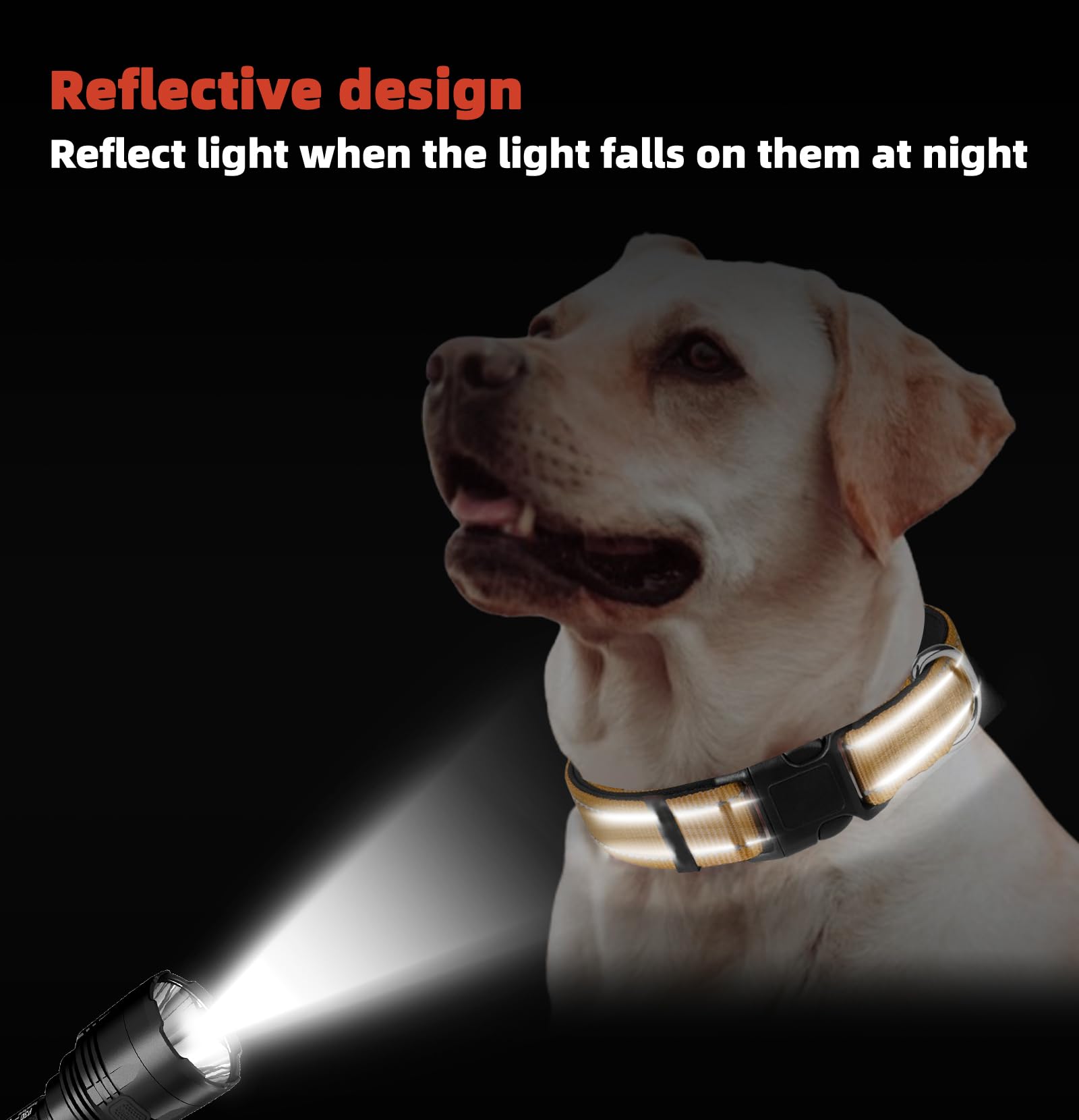 Yellow Dog Collar, Reflective Pet Collar with Buckle Adjustable Safety Nylon Collars for Small Medium Large Dogs, L