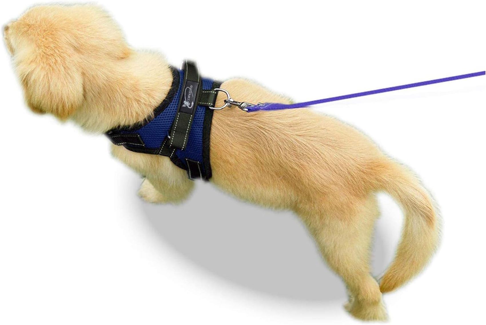Copatchy Dog Harness Small Sized Dogs - All Weather Mesh Overhead Adjustable No Pull Vest Puppy Reflective Harness With Handle For Extra Small And Small Dogs By Copatchy - Harness (Blue) X-Small