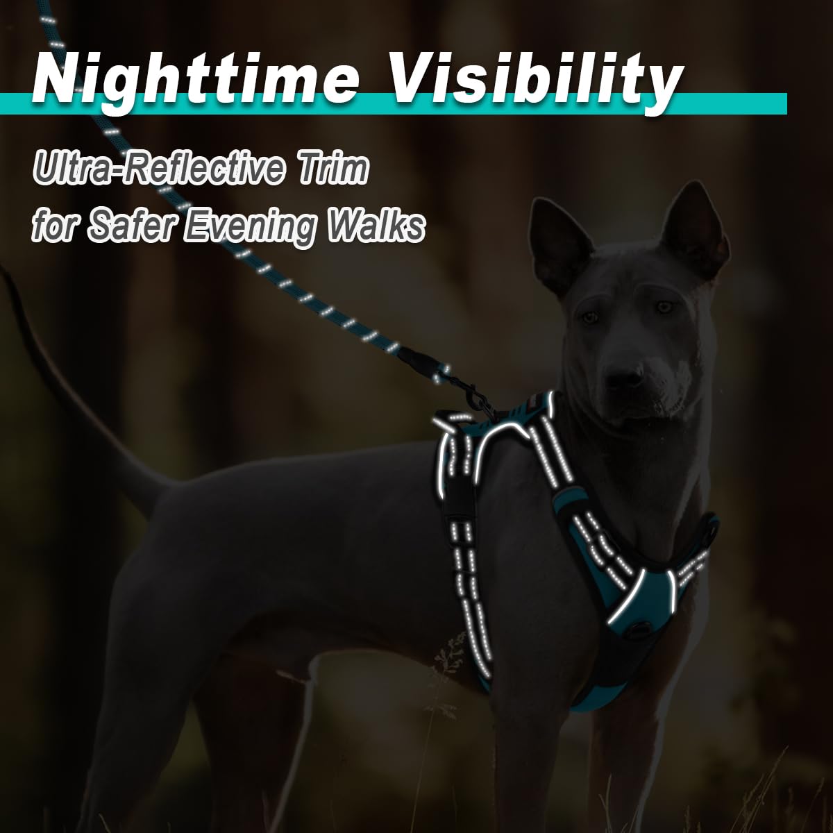 Barkbay Dog Harness No-Pull Pet Harness Adjustable Outdoor Pet Vest 3M Reflective Oxford Material Vest For Dogs Easy Control For