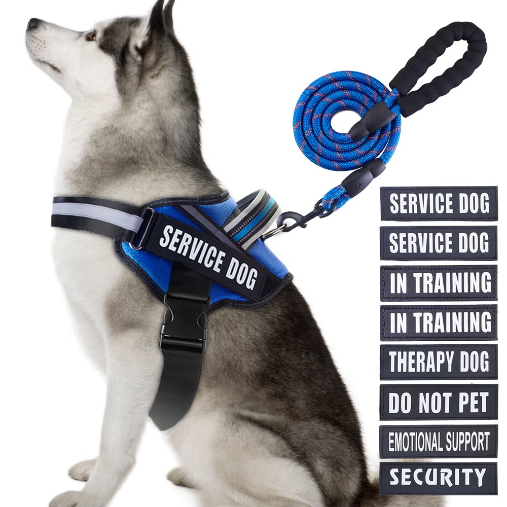 Service Dog Vest Harness And Leash Set, Animire In Training Dog Harness With 10 Dog Patches, Reflective Dog Leash With Handle Fo