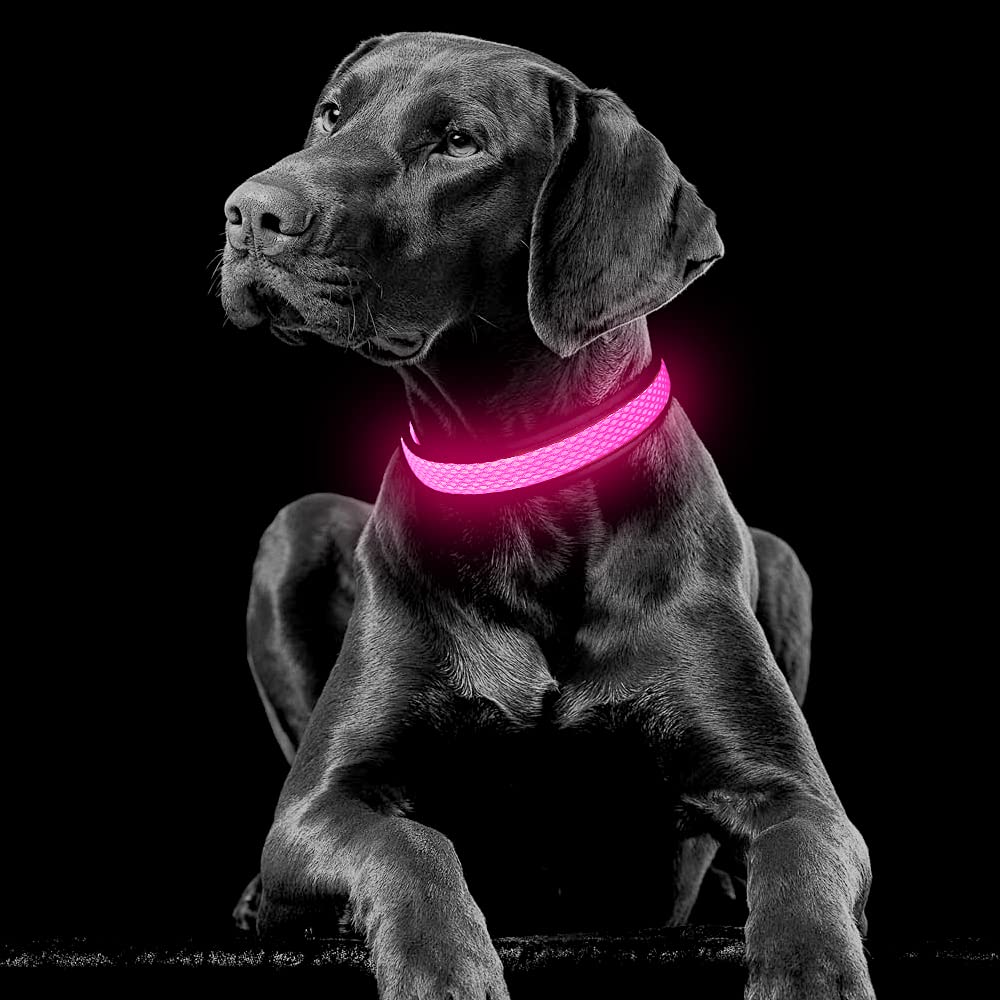 Yfbrite Light Up Dog Collar, Rechargeable Led Dog Collar, Flashing Dog Collar, Adjustable Reflective Dog Collar Safety Glowing At Night (Pink, Large)
