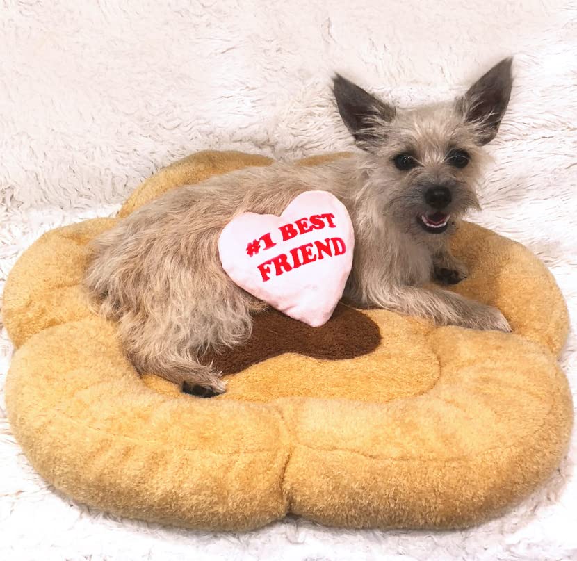 Tonbo Soft Plush Small Cute And Cozy Nature Dog Cat Bed, Washer And Dryer Friendly (Paw)