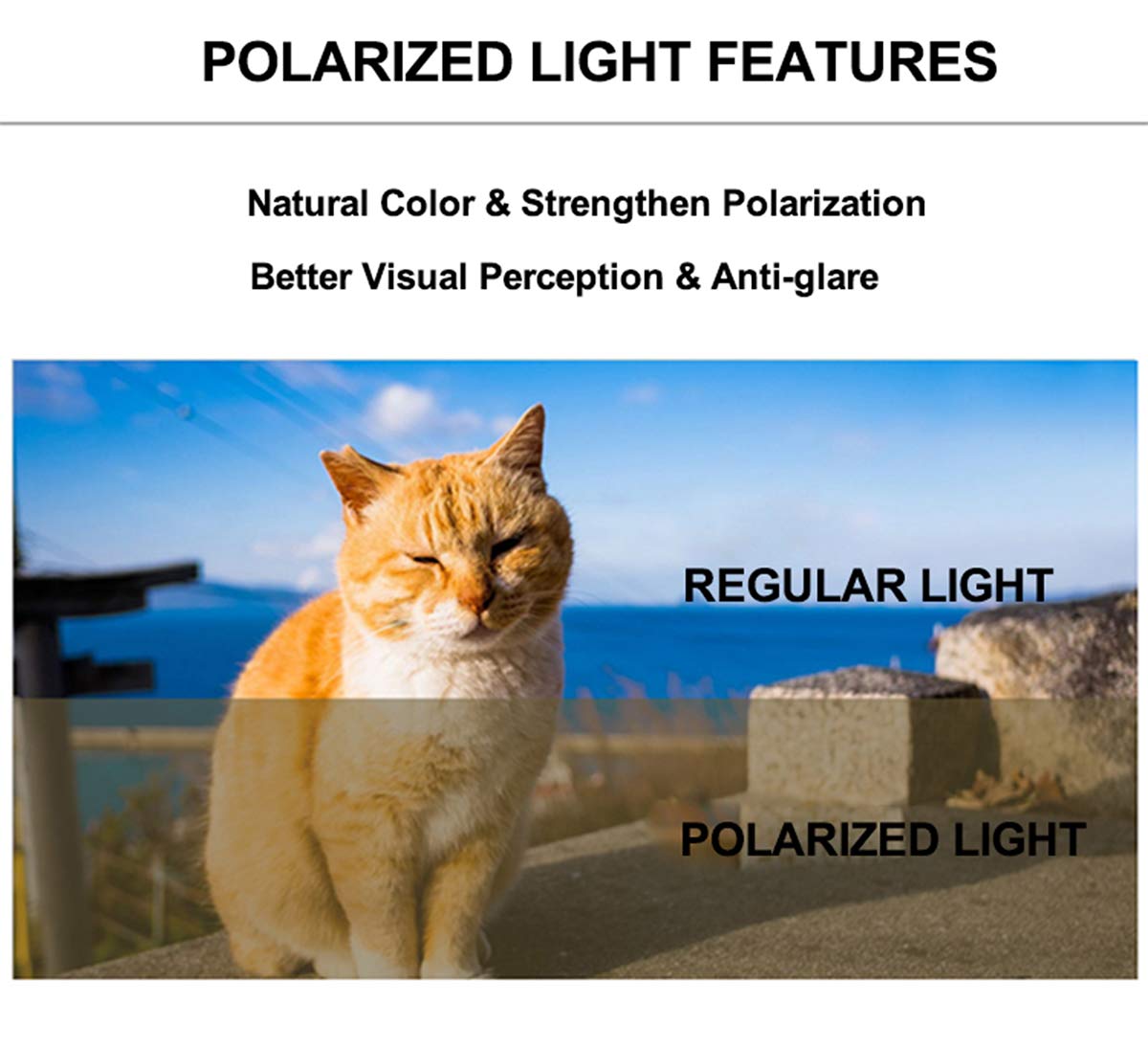 Expandable Cat Backpack Carrier, Fit Up To 12 Lbs, Space Capsule Astronaut Polarized Tinted Bubble Window Pet Backpack For Cat A