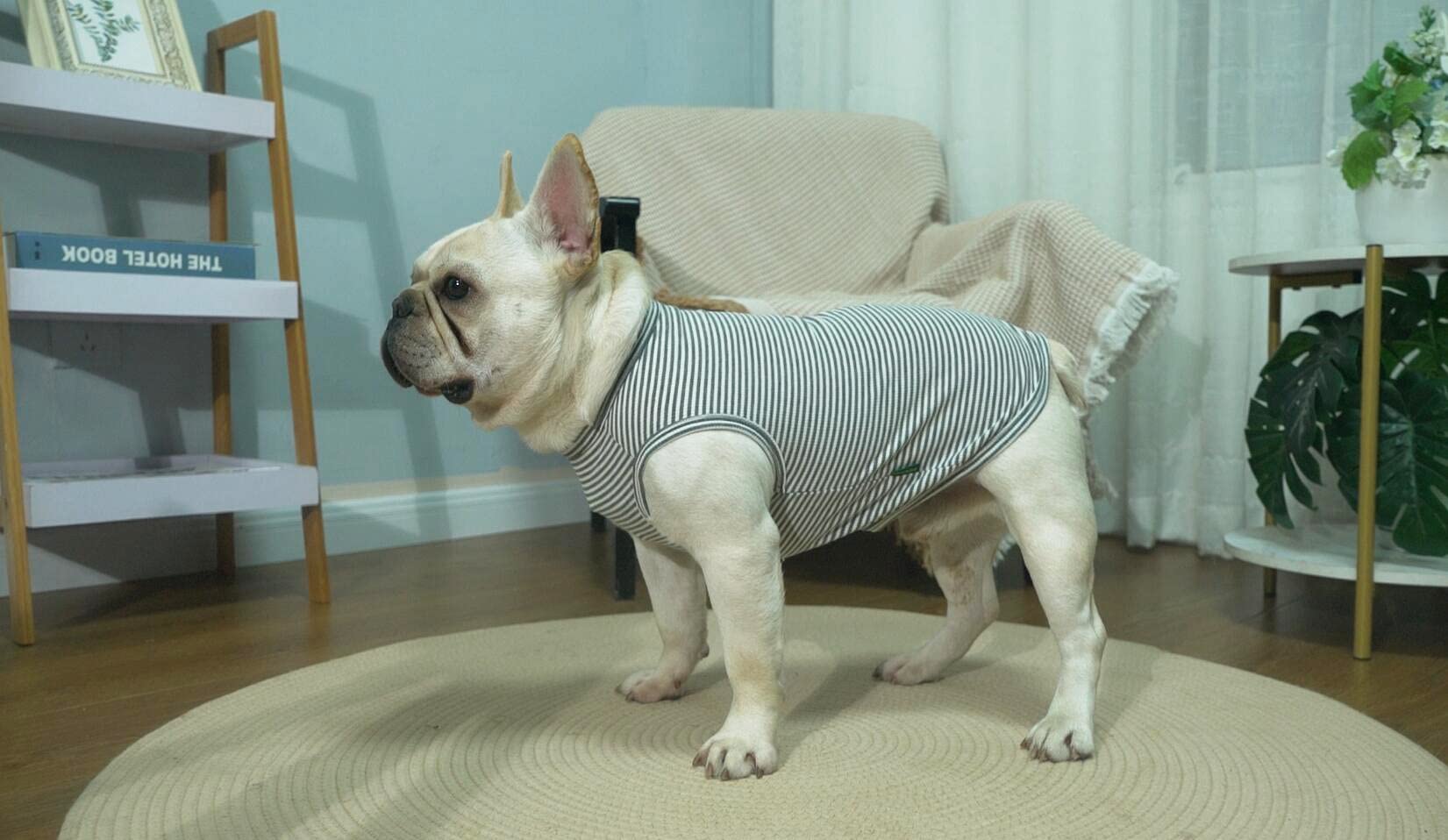 Sychien Dog Shirt Combed Cotton T-Shirts Soft Cool Boy Girl Tee For Large Dogs Bulldog Grey Striped L -Like New