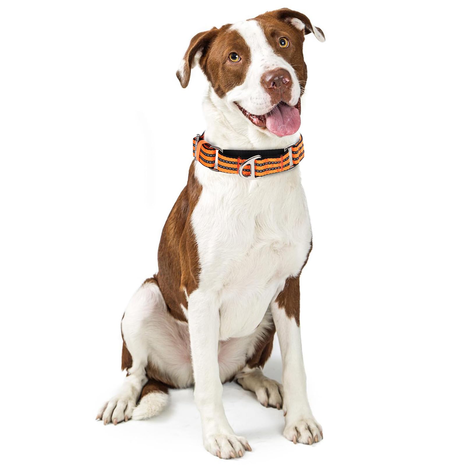 Onefojojo Martingale Dog Collars For Dogs, Reflective Nylon Dog Collar With No Buckle Adjustable Training, Walking, Hunting No S