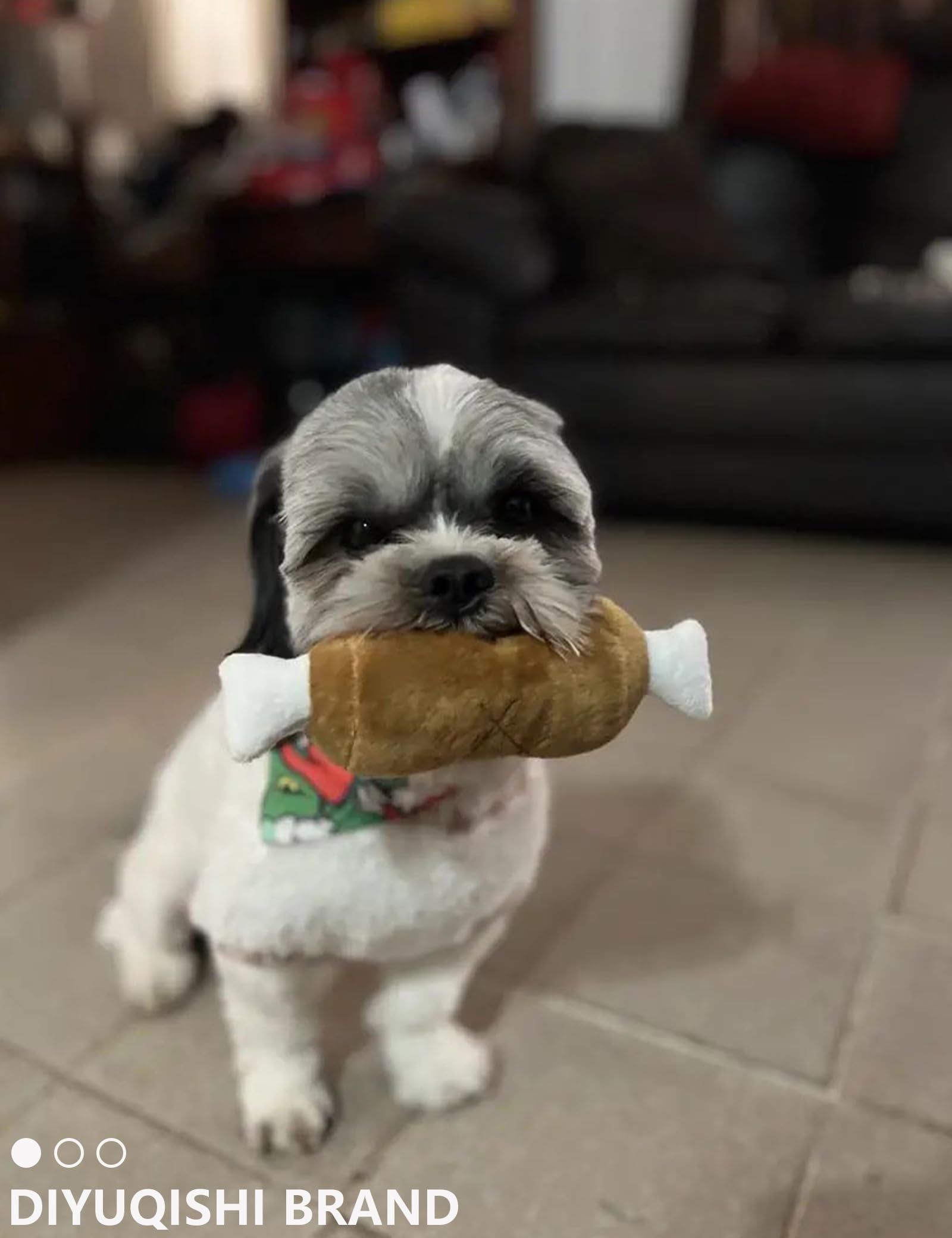 Diyuqishi 2-Pack Puppy Chew Toys - Cute Squeaky Pizza & Bone For Teething Small Dogs, Soft & Sturdy Playtime Fun (7.4'' - 9.5'',