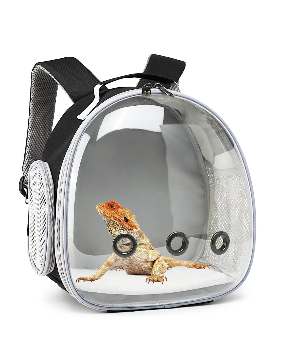 Hcupet Small Animal Carrier Backpack Space Capsule Bubble Window Carrier Backpack For Lizard Guinea Pig (Black)