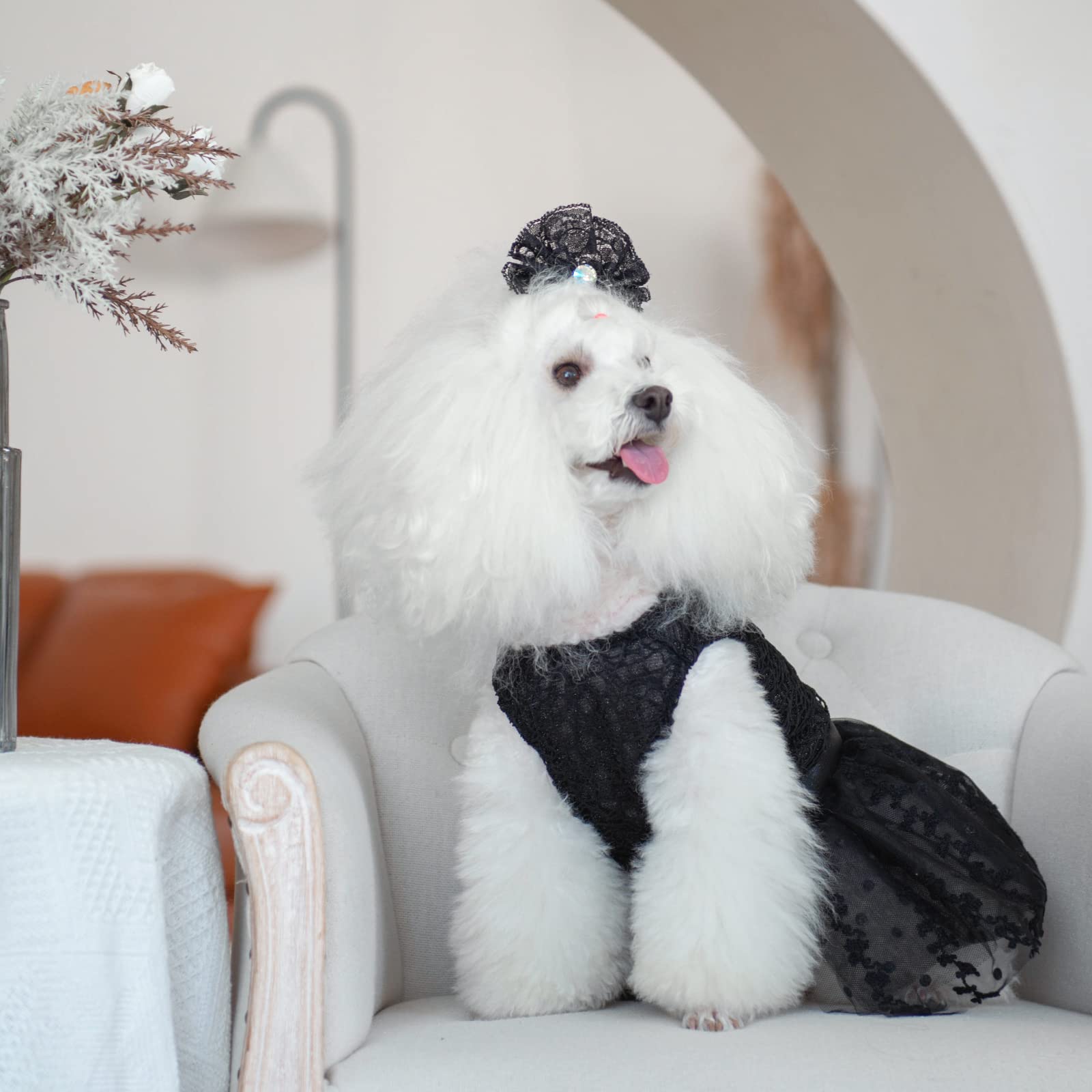 Cutebone Luxury Black Dog Dress Outfit Puppy Skirt Shining Embroiderd Tutu With Bowknot Pet Clothes Girl For Wedding Birthday Party Cat Apparel Dd15S