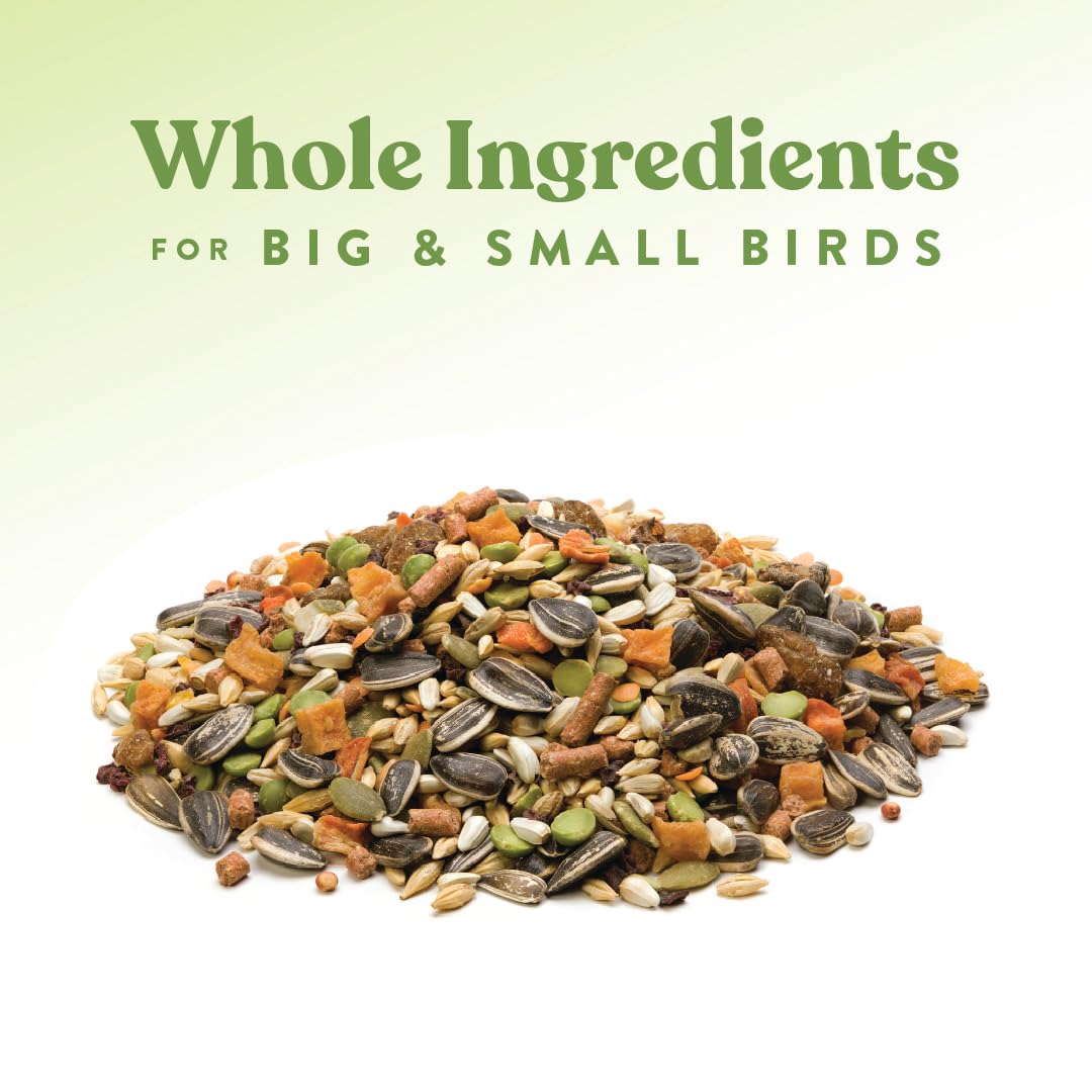 Manna Pro Garden Delight - Treats for Chickens - Poultry, Bird, Coop, Duck, Treat - 2.25 lbs