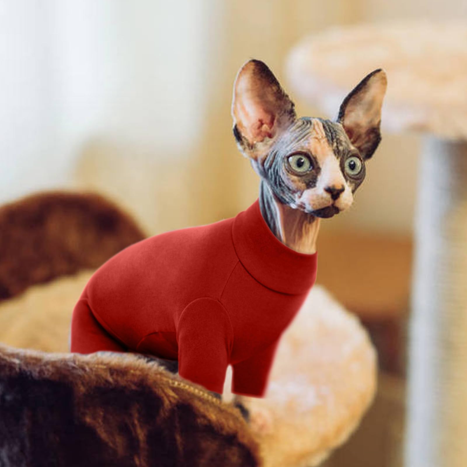 Rozkitch Hairless Cat Clothes, Breathable Soft Cat Jumpers For Cats Only, Cat Coat With Four Legs, Warm Cat Sweater Cat T-Shirt