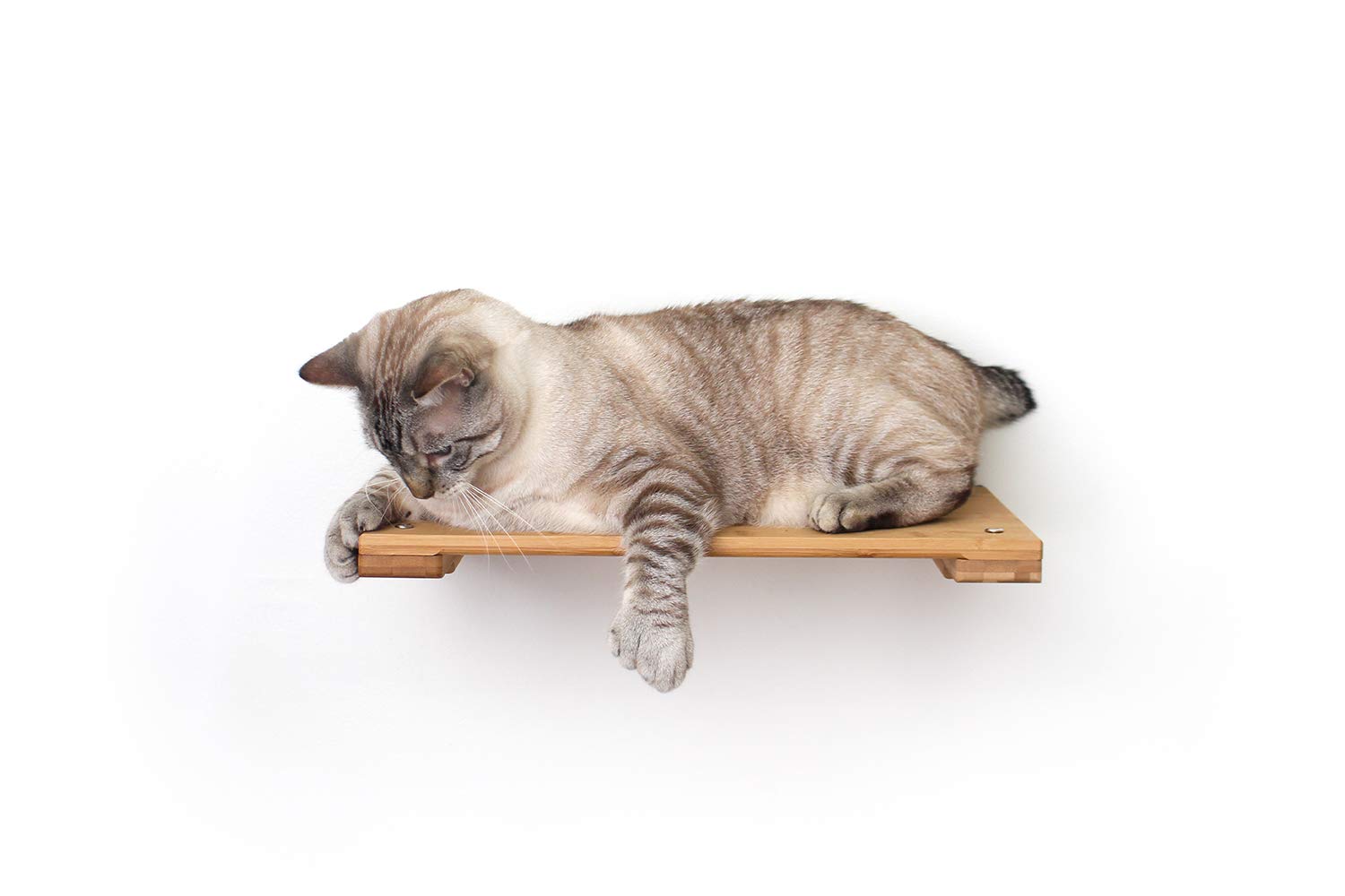 Catastrophic Creations Cat Perch, Mounting Wall Cat Shelves, Strong & Sturdy Onyx Bamboo Wood Cat Tree Floating Shelf, Lounger C