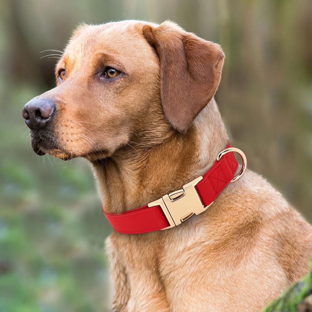 Pet Artist Charming Nylon Dog Collar With Leather Soft Comfy Elegant Nylon Collars For Dogs Small Medium Large 4 Bright Solid Color For Choosing Blue Red Brown Grey (Red,Neck Fit 16-27'')