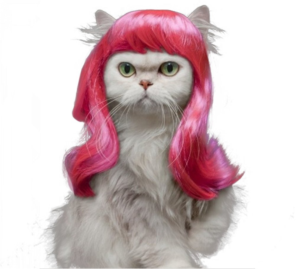 Drasawee Long Synthetic Female Pet Wigs Dog Cat Hair Costumes
