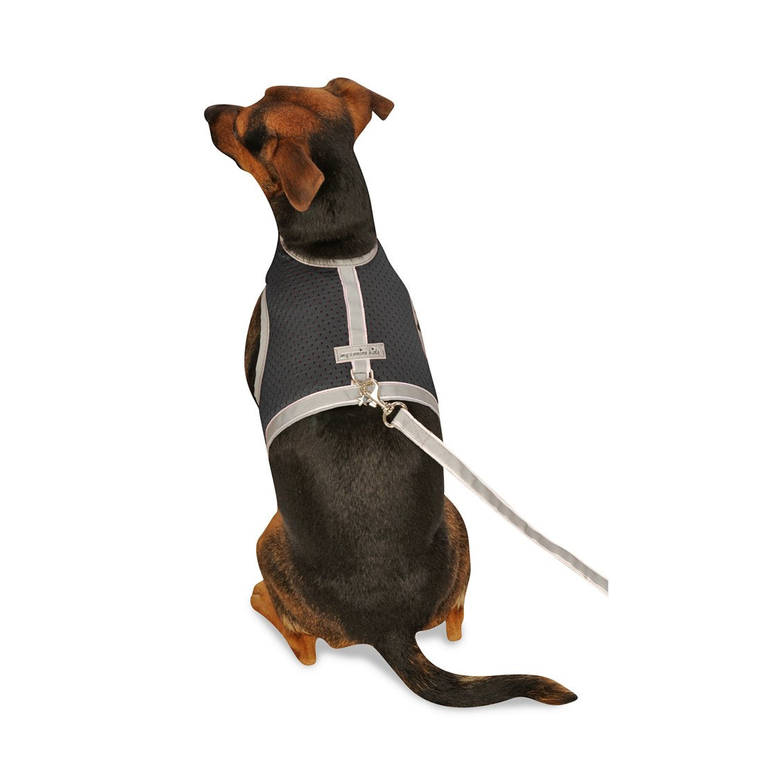 My Canine Kids Athletic Mesh Dog Harness for Teacup, Teacup 4 - Small Dogs and Puppies | Reflective Trim and Comfortable hook an