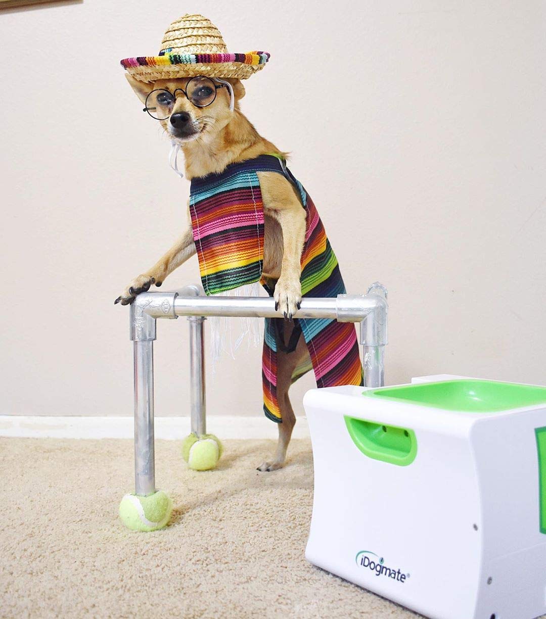 Idogmate Small Interactive Ball Launcher With Rechargeable, Automatic Dog Ball Thrower For Mini Dog (Small Machine With 3 Balls)