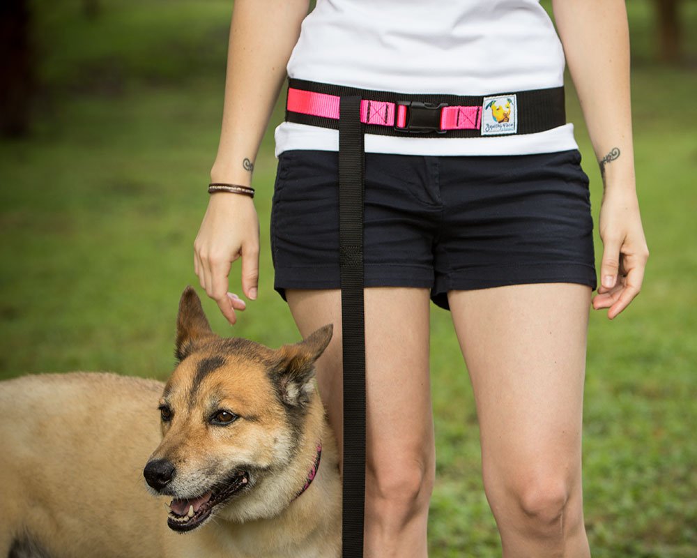 Squishy Face Studio Hands Free Dog Leash Belt - Small-Medium - Neon Orange