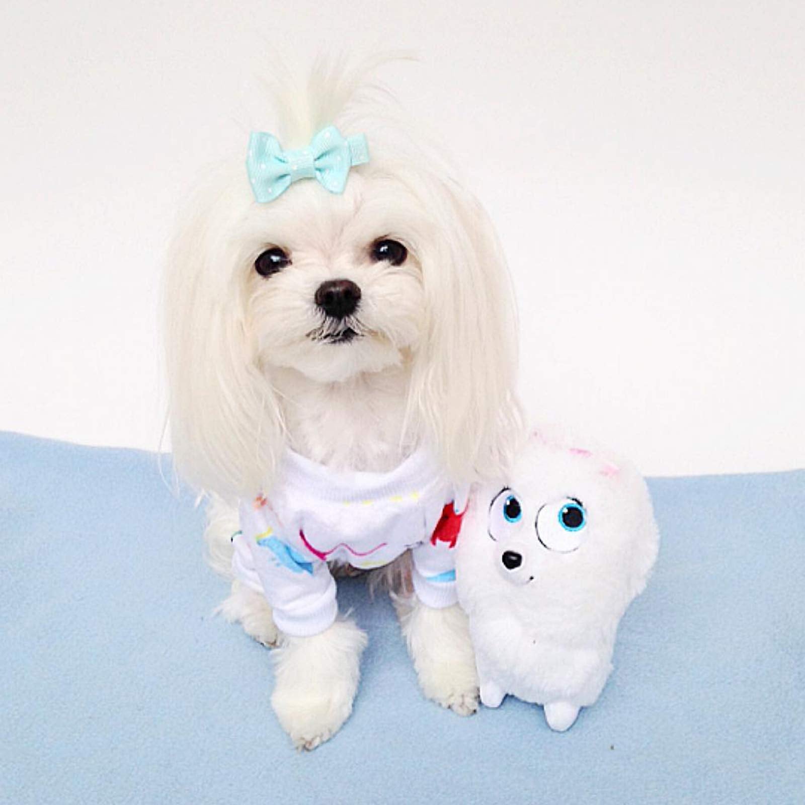 Cutebone Dinosaur Dog Pajamas Adorable Puppy Clothes Jumpsuit Pjs Pet Apparel Soft Fleece Cat Coat, Medium P01M