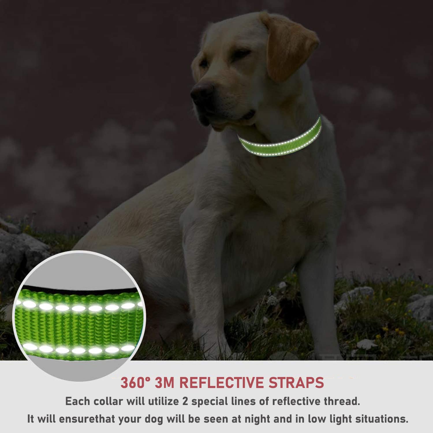 Reflective Dog Collar With Buckle Adjustable Safety Nylon Collars For Small Medium Large Dogs, Grass Green S