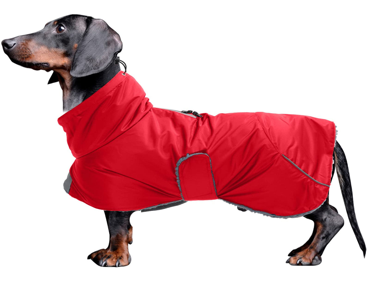 Dachshund Coats Waterproof, Perfect For Dachshunds, Sausage, Weiner Dog Winter Coat With Padded Fleece, Puppy Snowsuit With Adjustable Bands And High Vis Reflective Trim - Red - L