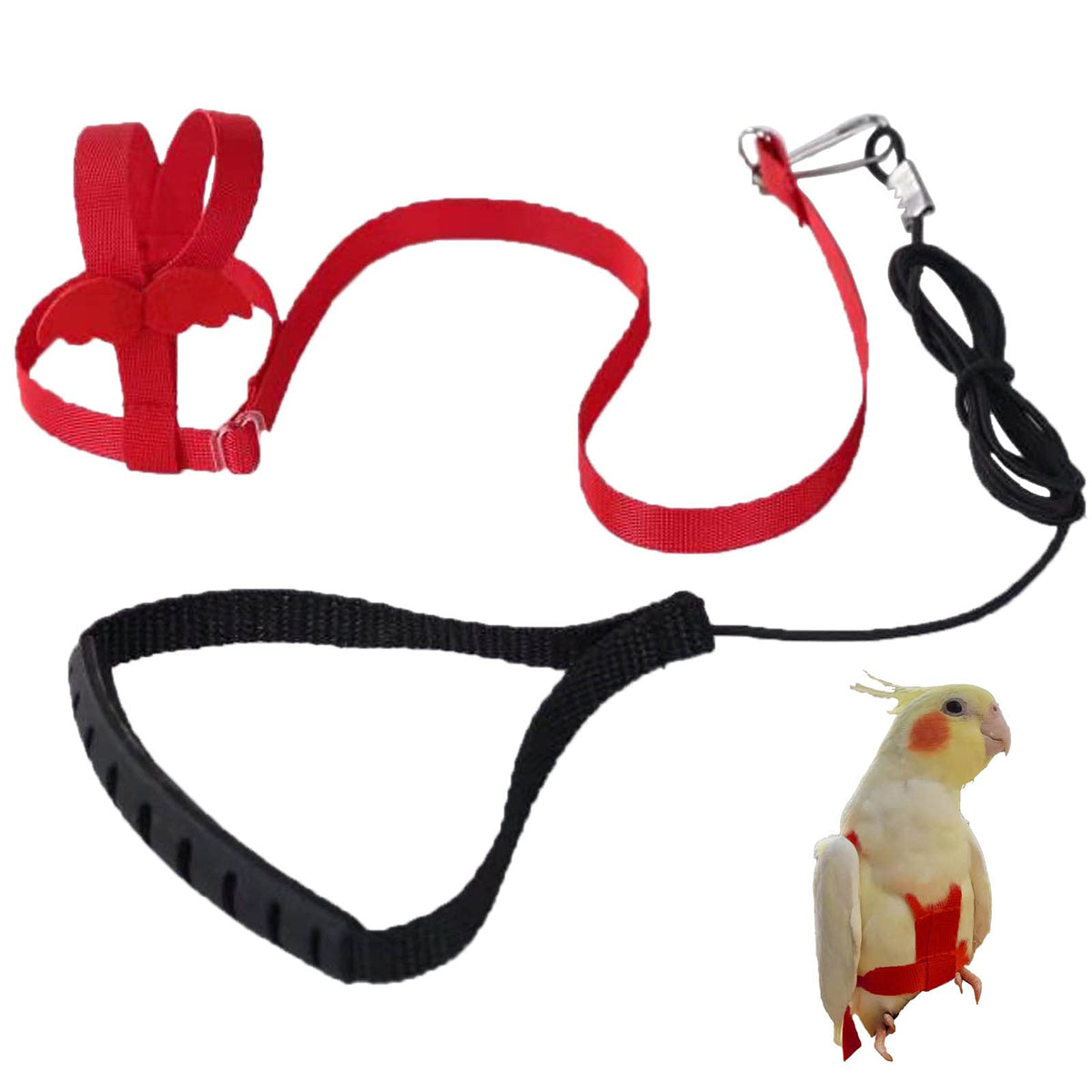 Parrot Harness Adjustable Pet Bird Harness Leash Outdoor Flying Trainning Rope Leash Anti- Bite Elastic Strap For Bird Parrot Cockatoos Macaws (Red, Xs)