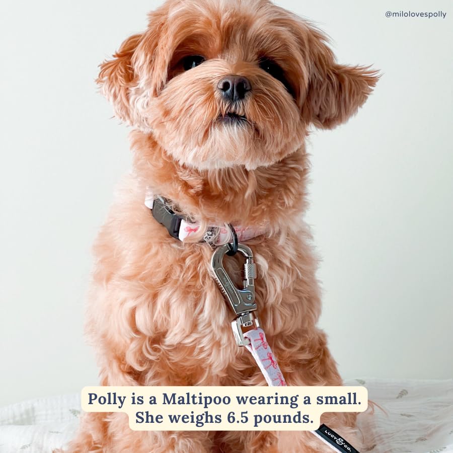 Lucy & Co. Ballet Bows Dog Collar - Durable Lightweight Designer Collar For Pets - Adjustable Metal Safety Buckle - White & Pink