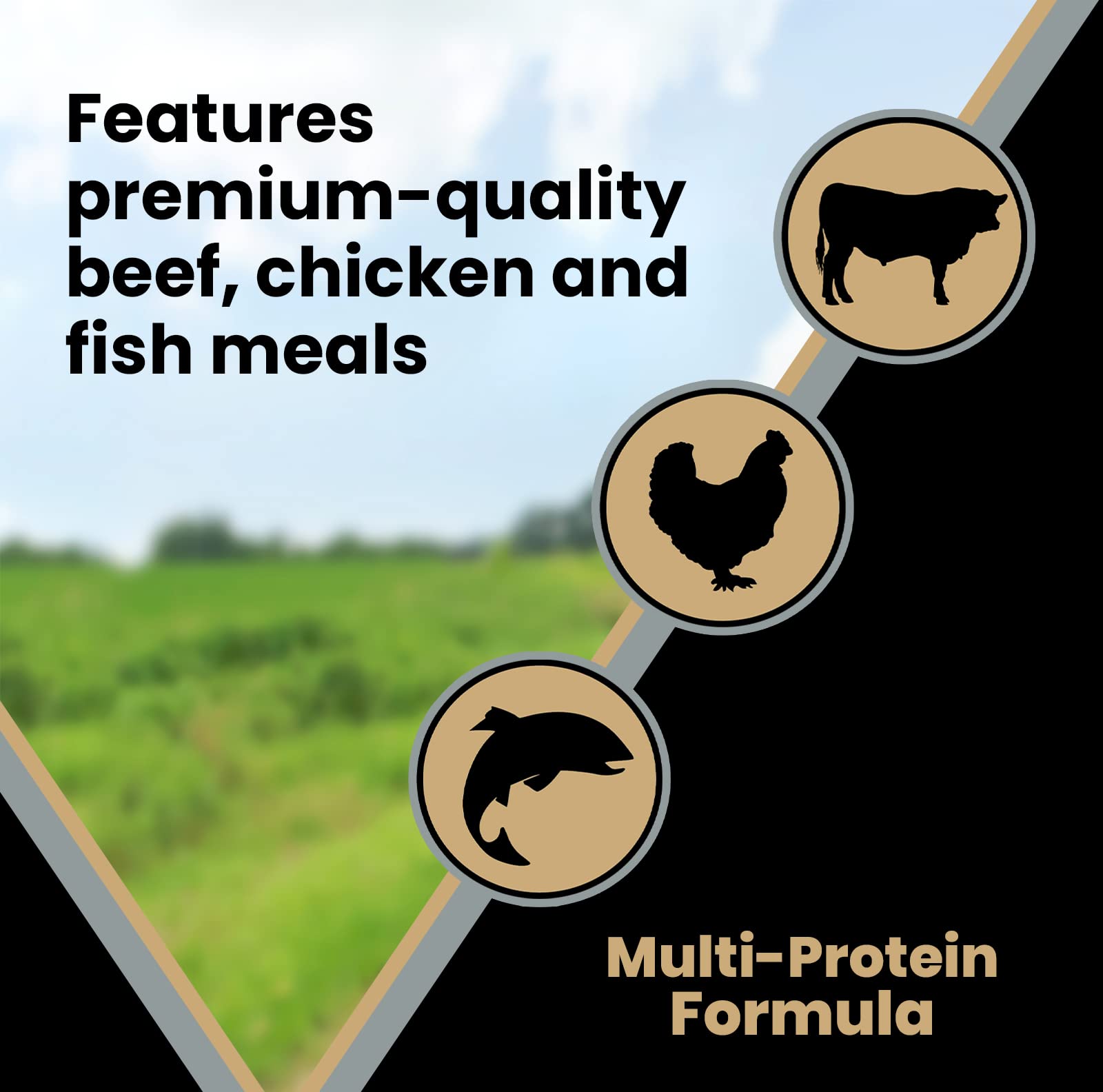 Victor Super Premium Dog Food - Purpose - Senior Healthy Weight - Gluten Free Weight Management Dry Dog Food for Senior Dogs wit