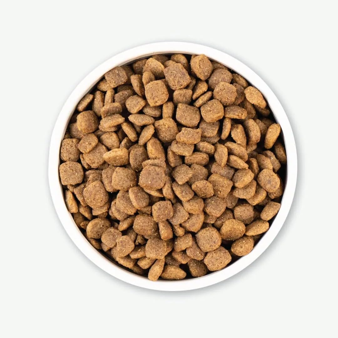 Earthborn Holistic Coastal Catch Dry Dog Food - with Herring Protein - Grain Free - Made in USA, 25 lb