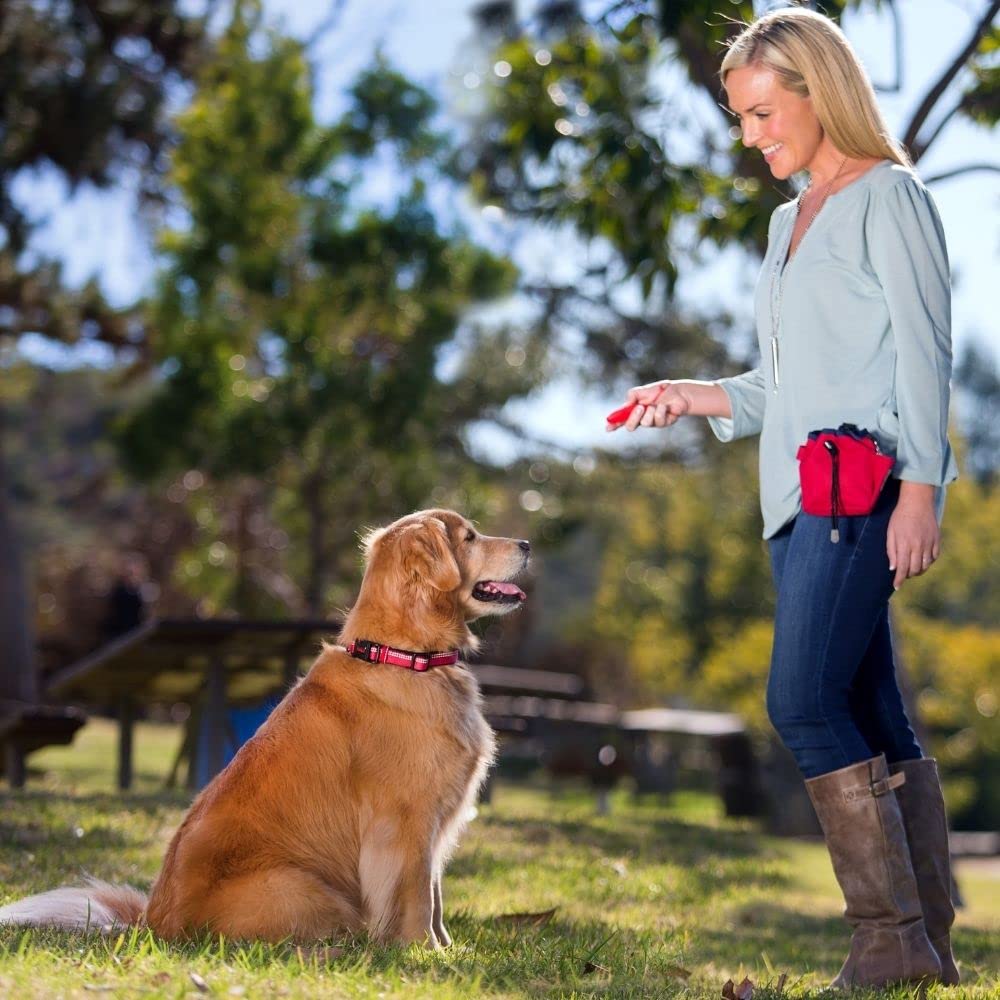 Company of Animals Treat Bag, Red, Zipped Pockets & Drawstring, Clips on Belt, Waistband or Pocket, Waterproof Treats Pouch, Ide