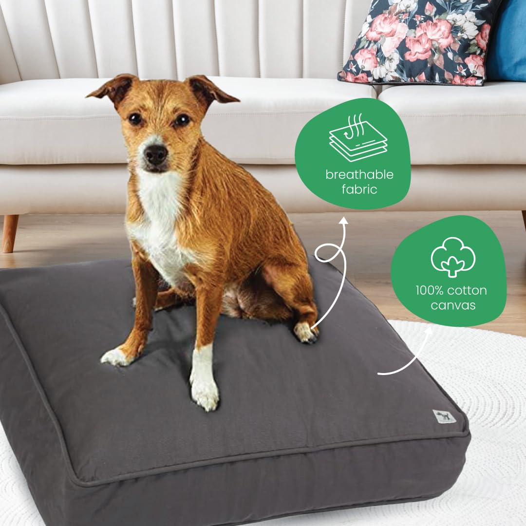Molly Mutt Medium To Large Dog Bed Cover - Im A Realist Print - Measures 27   X36   X5 - 100% Cotton - Durable - Breathable - Su