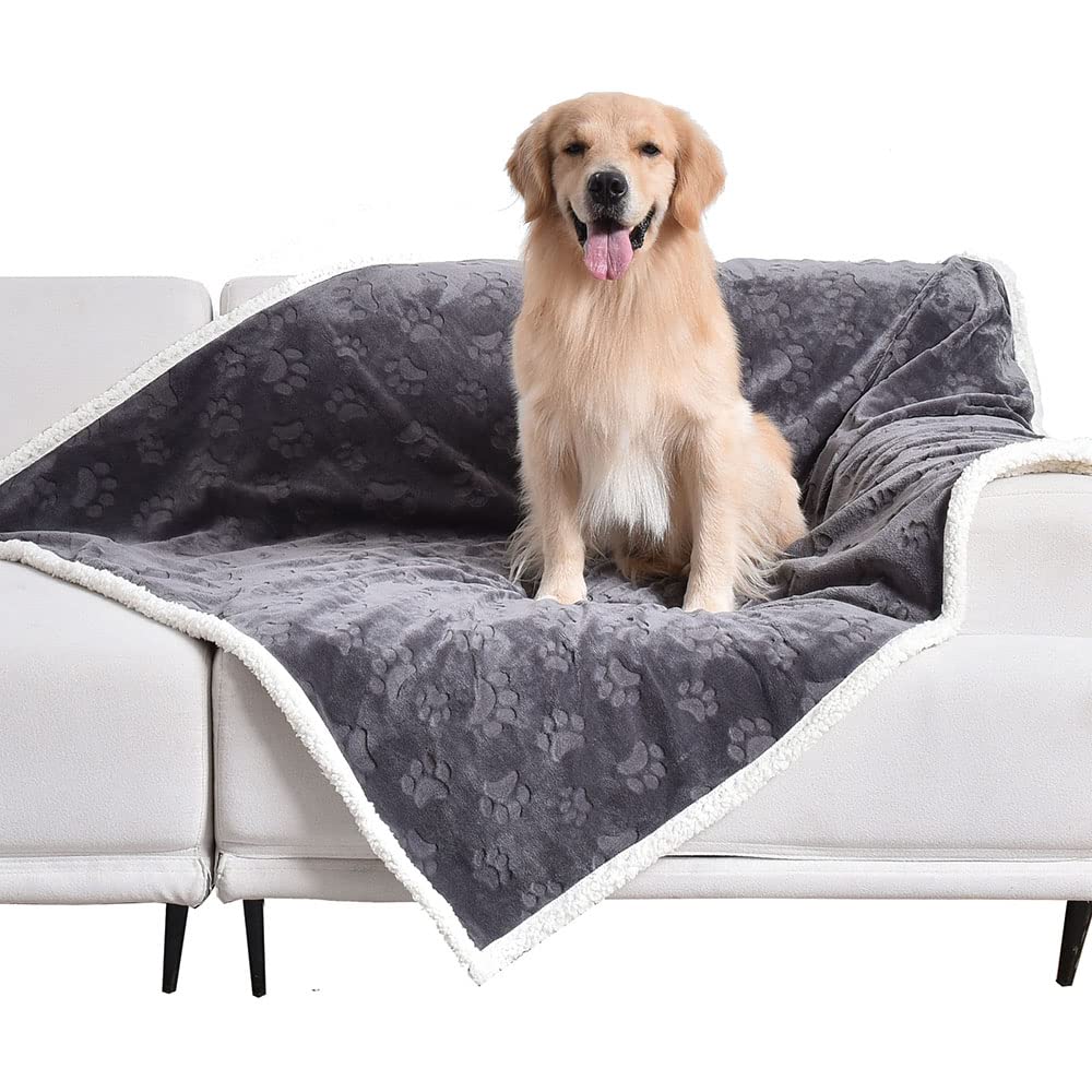 Qeils Dog Blankets For Medium Dogs - Waterproof Cat Blanket Washable - Sherpa Fleece Puppy Blanket, Soft Plush Reversible Throw Protector For Bed Couch Car Sofa, 50'X60', Dark Grey