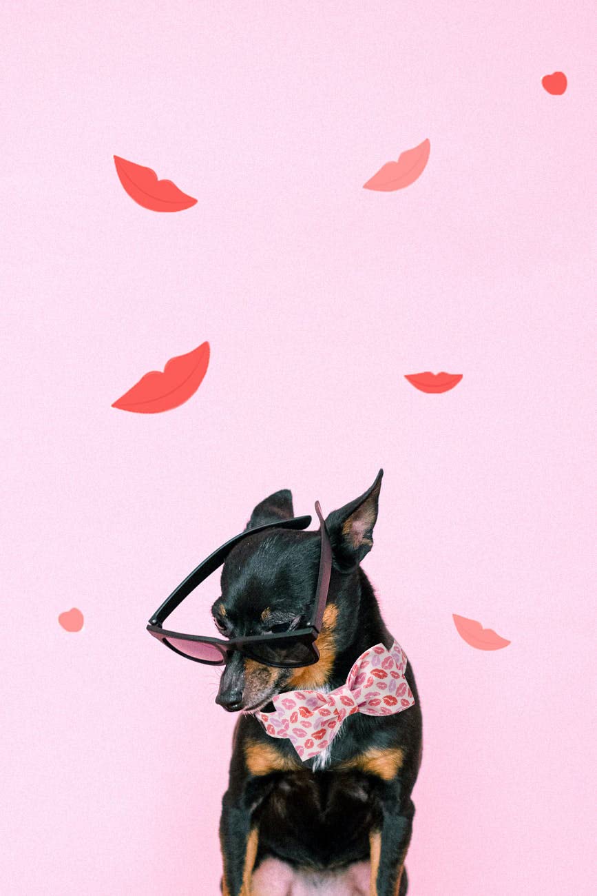 Unqiue Style Paws Valentine'S Lips Dog Collar, Soft And Cute Dog Bow Tie, Holiday Durable Pet Collar With Bow Adjustable Collar For X-Small Puppy