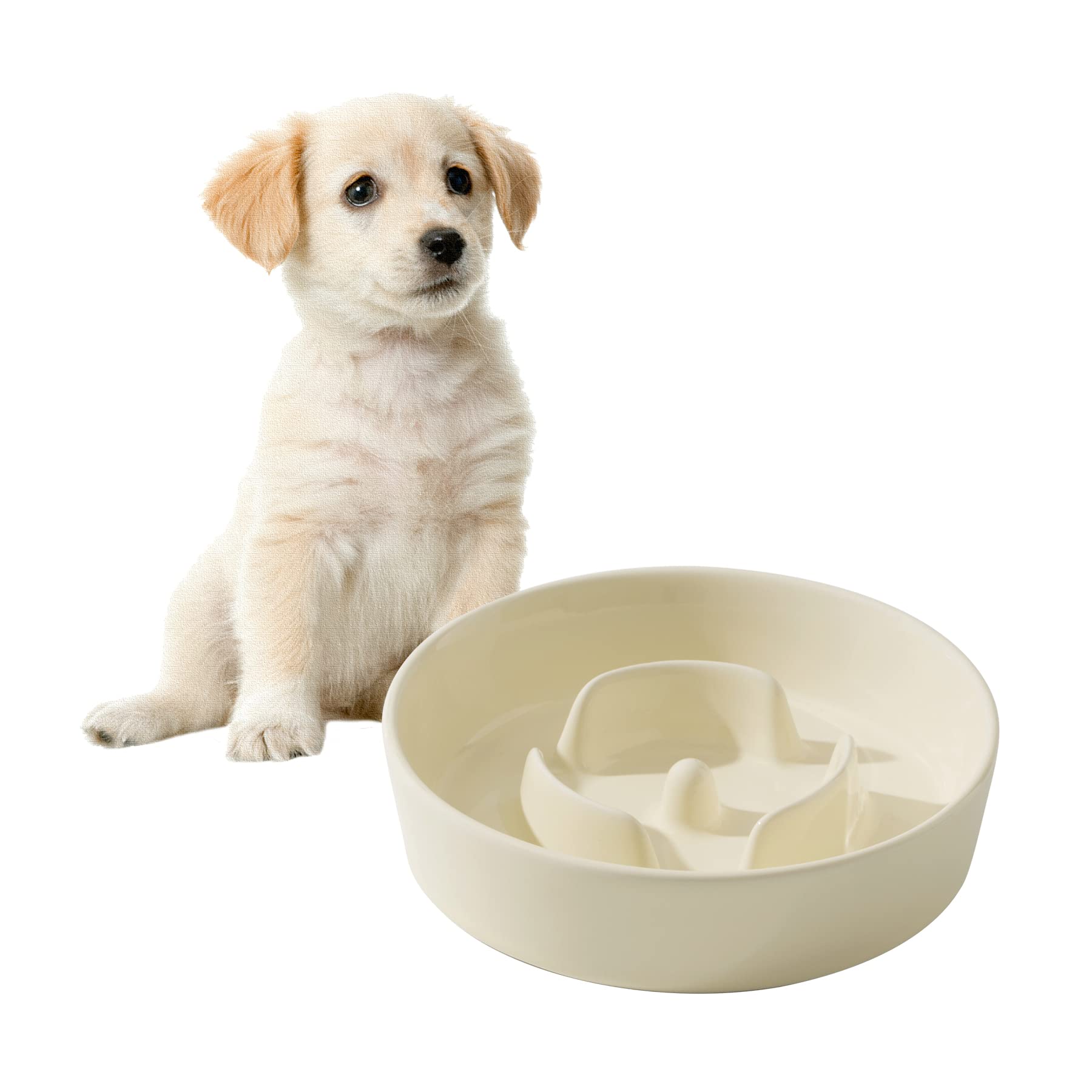 Havniva 6.1Inch Dog Bowl Slow Feeder Ceramic For Small Dog, Pet Slow Feeder, Stop Bloat, Preventing Choking(Single Bowl-Beige)