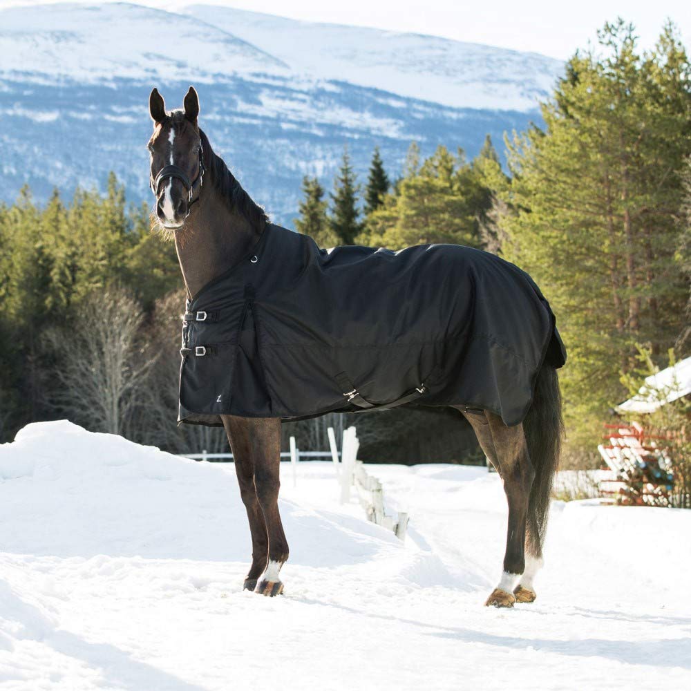 Horze Nevada Heavy Weight 1200D Waterproof Horse Winter Turnout Blanket (400G Fill) - Black - 81 In