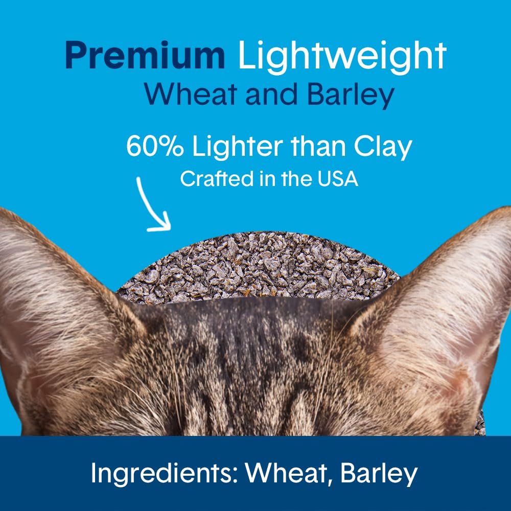 Boxiecat Air Lightweight, Scent Free, Premium Clumping Litter, 6.5 Lb, Model:138