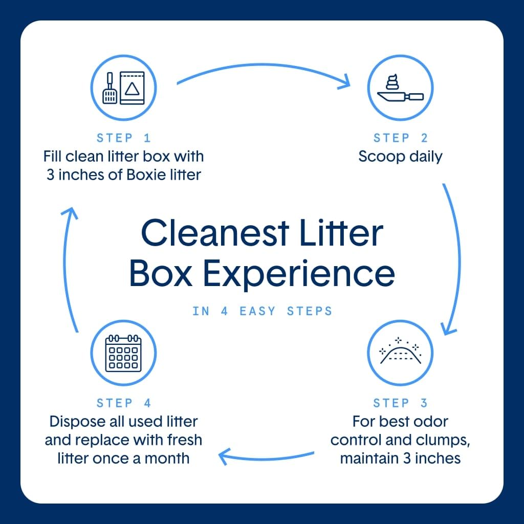 Boxie Gently Scented 30 Day Natural Odor Control Cat Litter, 28lb Clumping Clay Kitty Litter