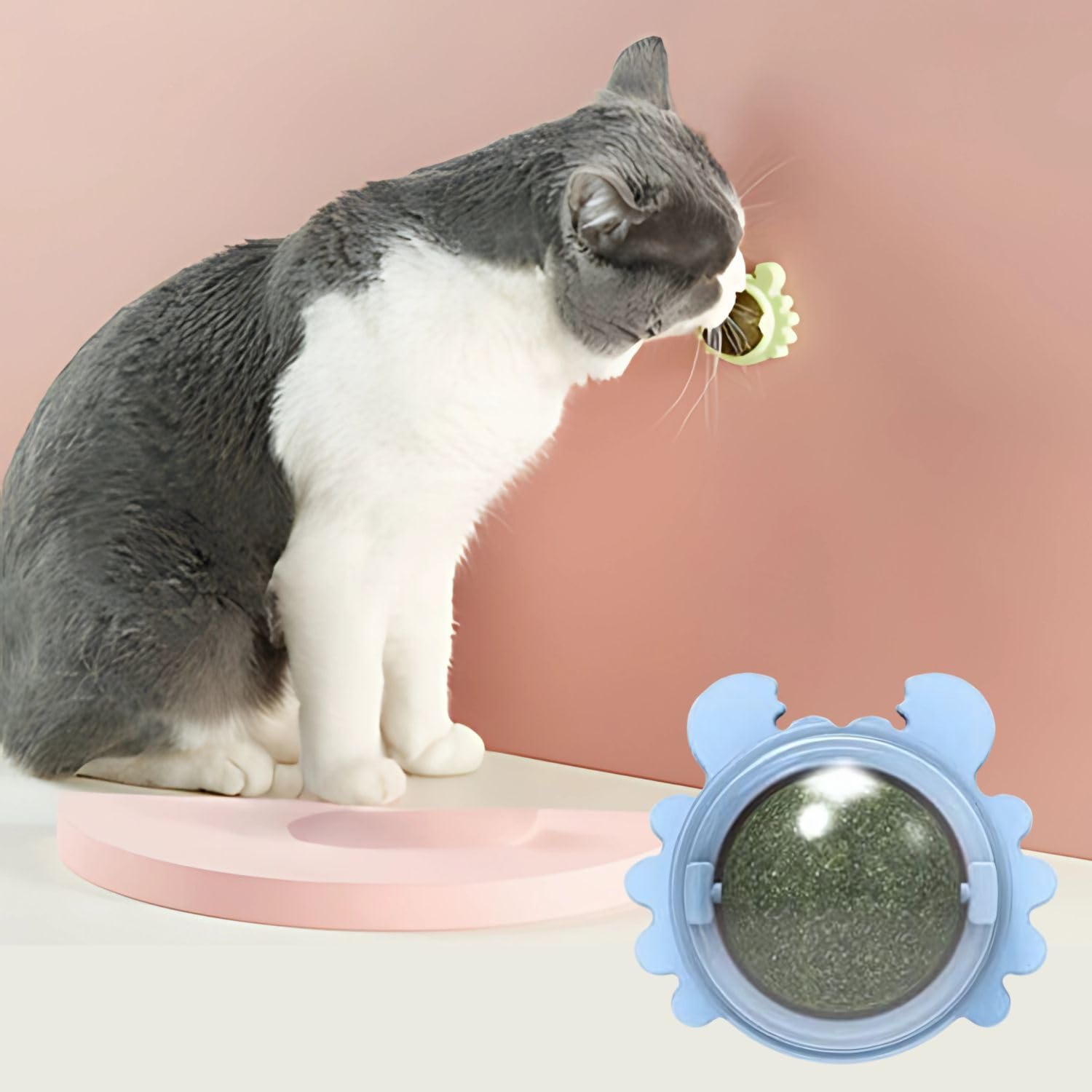 Vayinato (1 Pcs Nip Ball (Random Color) Edible Cat Licking Toy, Treats For Teeth Cleaning Relieve Cat Anxiety, Rotatable Indoor 