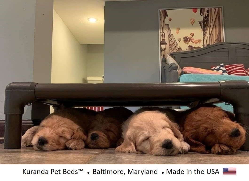 Kuranda Chewproof Dog Bed - Walnut PVC - 35'' x 23'' - Cordura Nylon - Forest