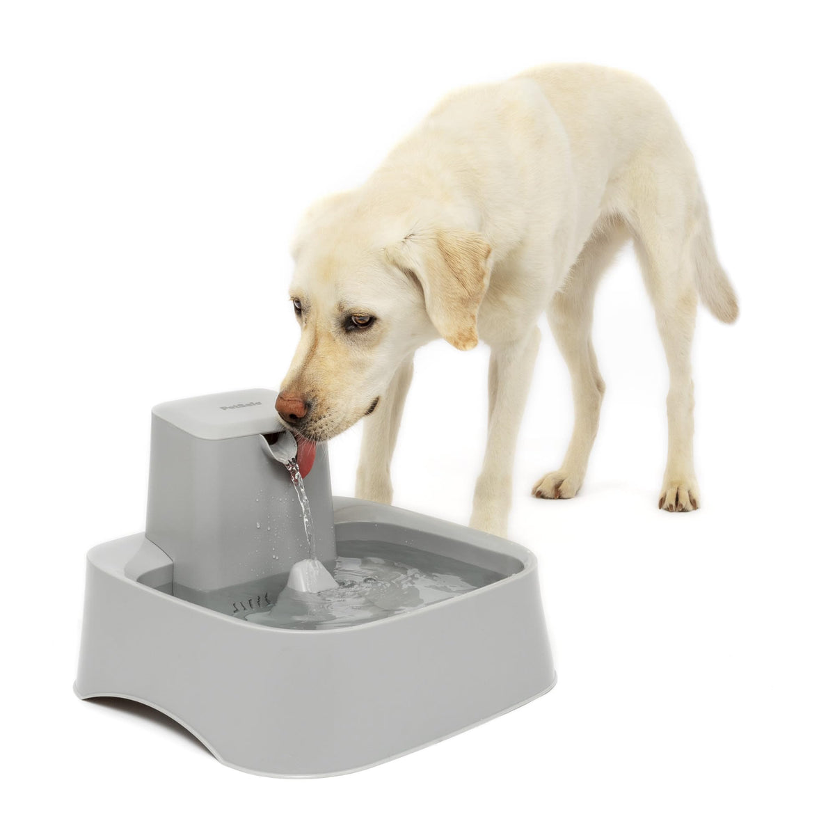 Petsafe Drinkwell 2 Gallon Pet Fountain Large