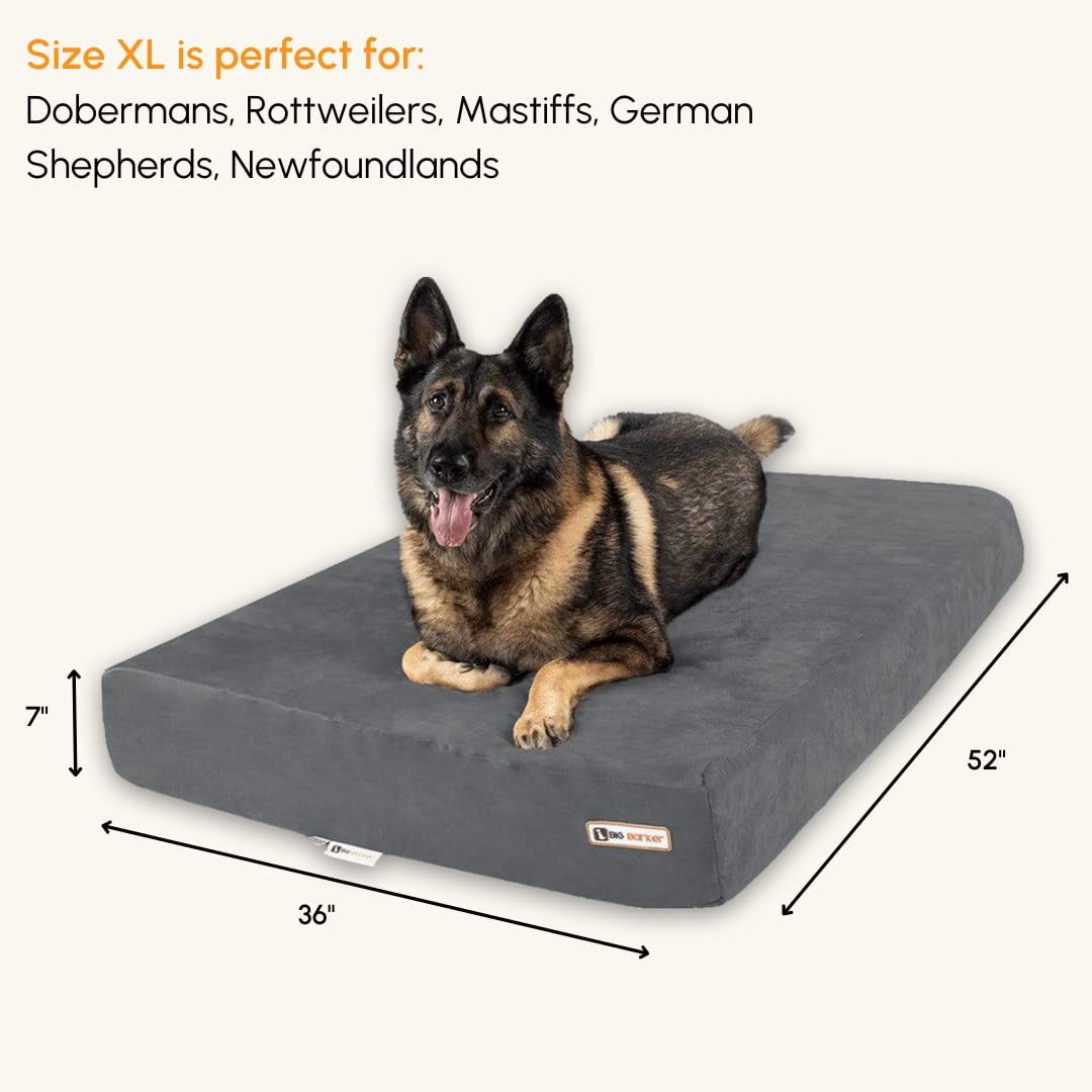 Barker Beds Sleek Extra Large Dog Bed (Xl, Charcoal) - 7'' Thick Soft & Comfortable Orthopedic Cushion - Xl Dog Bed - Durable &