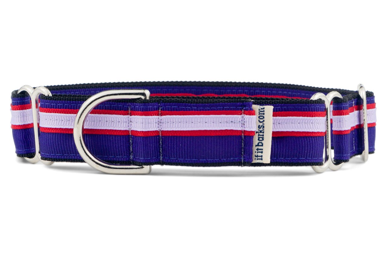 If It Barks 1'' Martingale Collar For Dogs, Adjustable Nylon, Usa Made, Large, Jelly