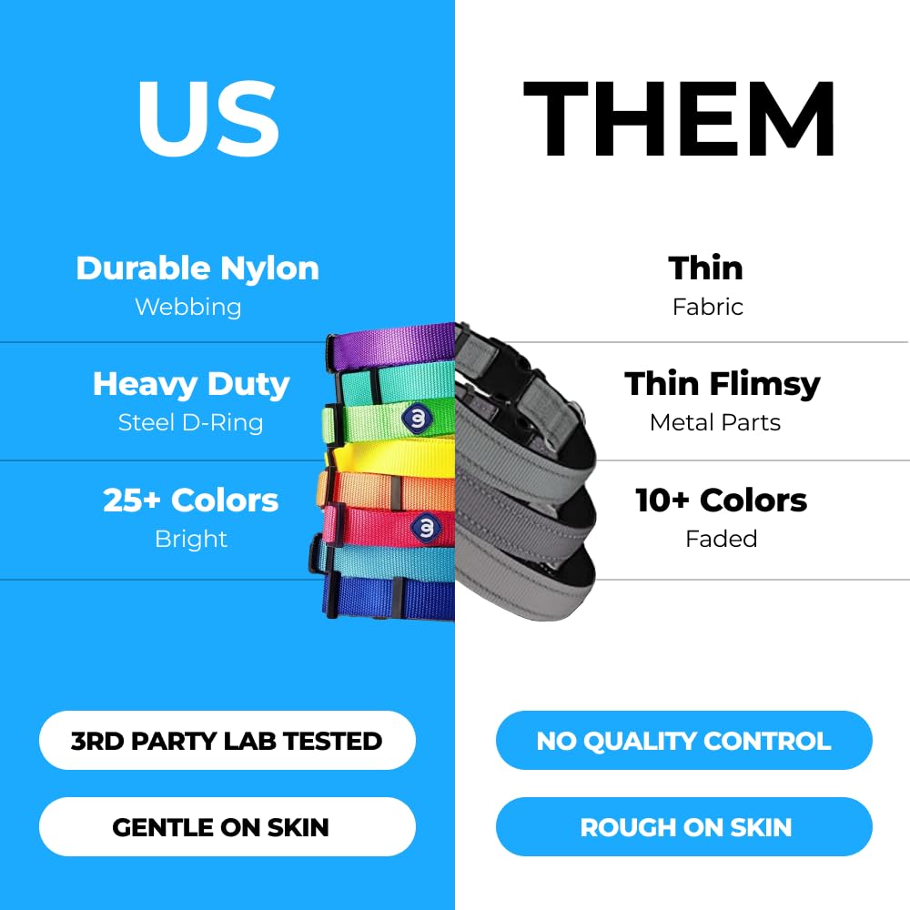 Blueberry Pet Essentials Small Dog Collar | Girl Dog Collars Fall | Female Dog Collar Small | Lavender Dog Collars For Small Dog