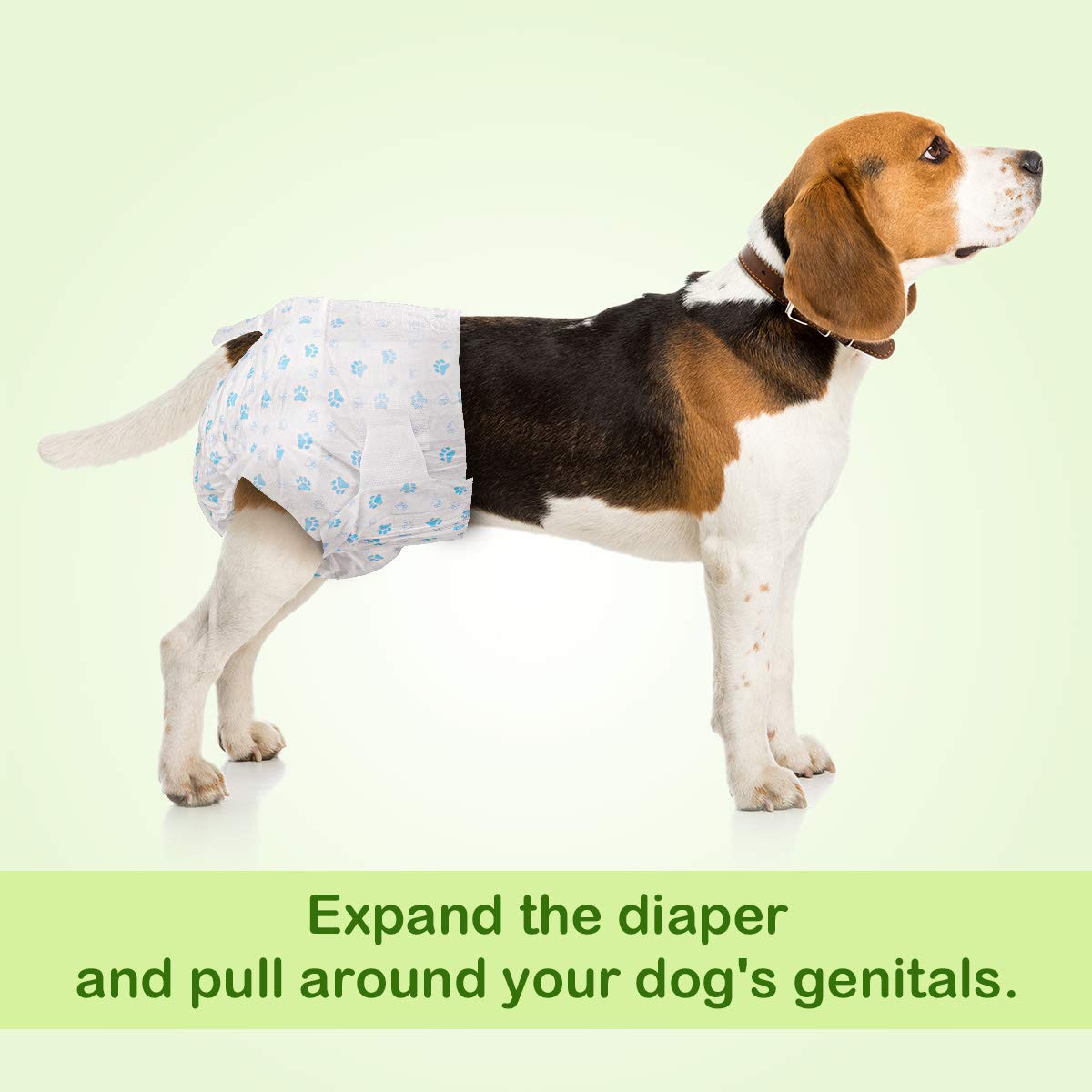 Pet Soft Disposable Dog Diapers for Female in Heat, XXS, Ultra Absorbent, 12 Count, Mixed Color