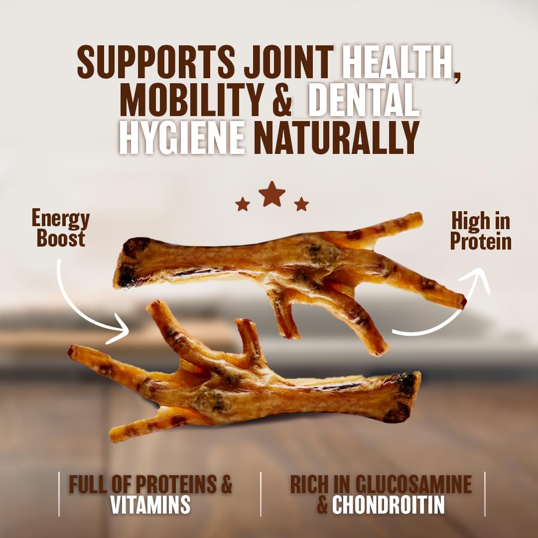 The Primal Theory Dehydrated Chicken Feet for Dogs - Single Ingredient Dog Chews - Made in USA - 100% Digestible Chicken Foot Tr