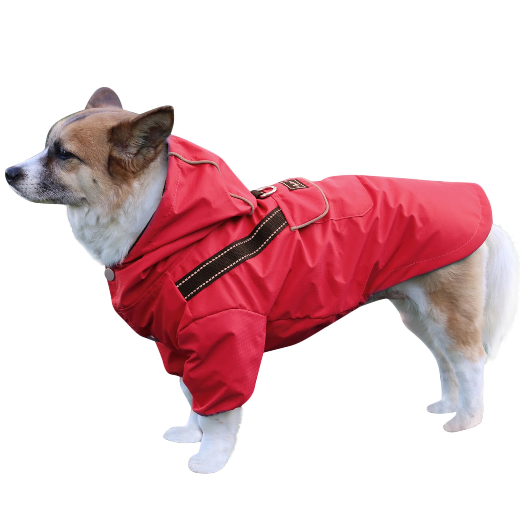 Joydaog Premium Dog Raincoat With Hood For Medium Dogs,Outdoor Sports Waterproof Doggie Rain Jacket,Puppy Raincoat With Pockets,