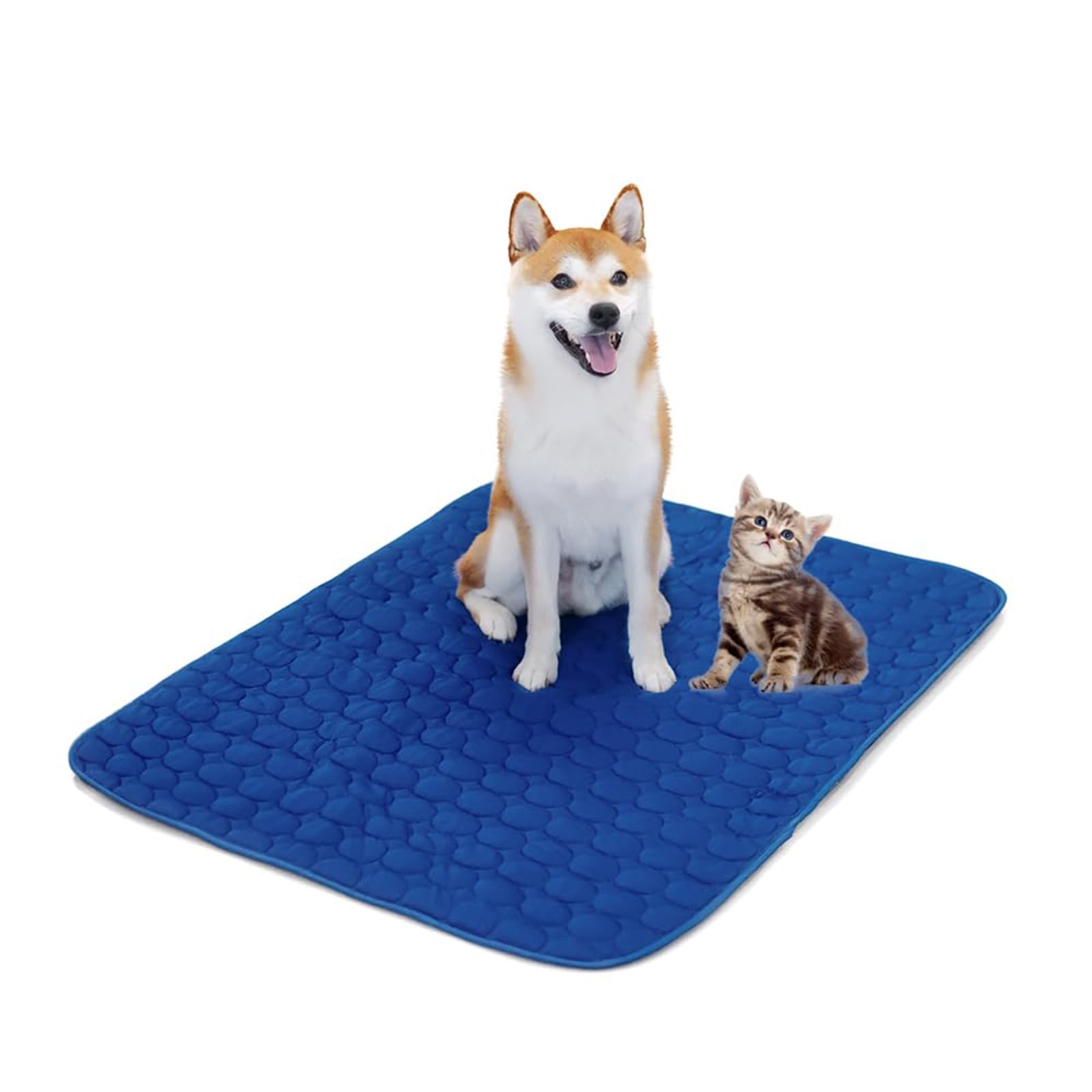 MICROCOSMOS Summer Cooling Mat & Sleeping Pad- Water Absorption Top, Materials Safe, Easy Carry, EZ Clean. Keep Cooling for Pets