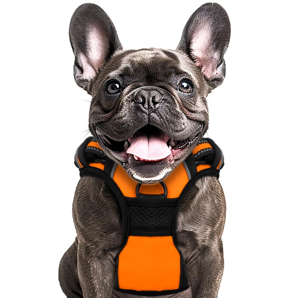 Buddy'S Best Dog Harness, No-Pull Pet Harness With 2 Leash Clips, Frenchie Harness, Adjustable Soft Padded Reflective Safety Pet