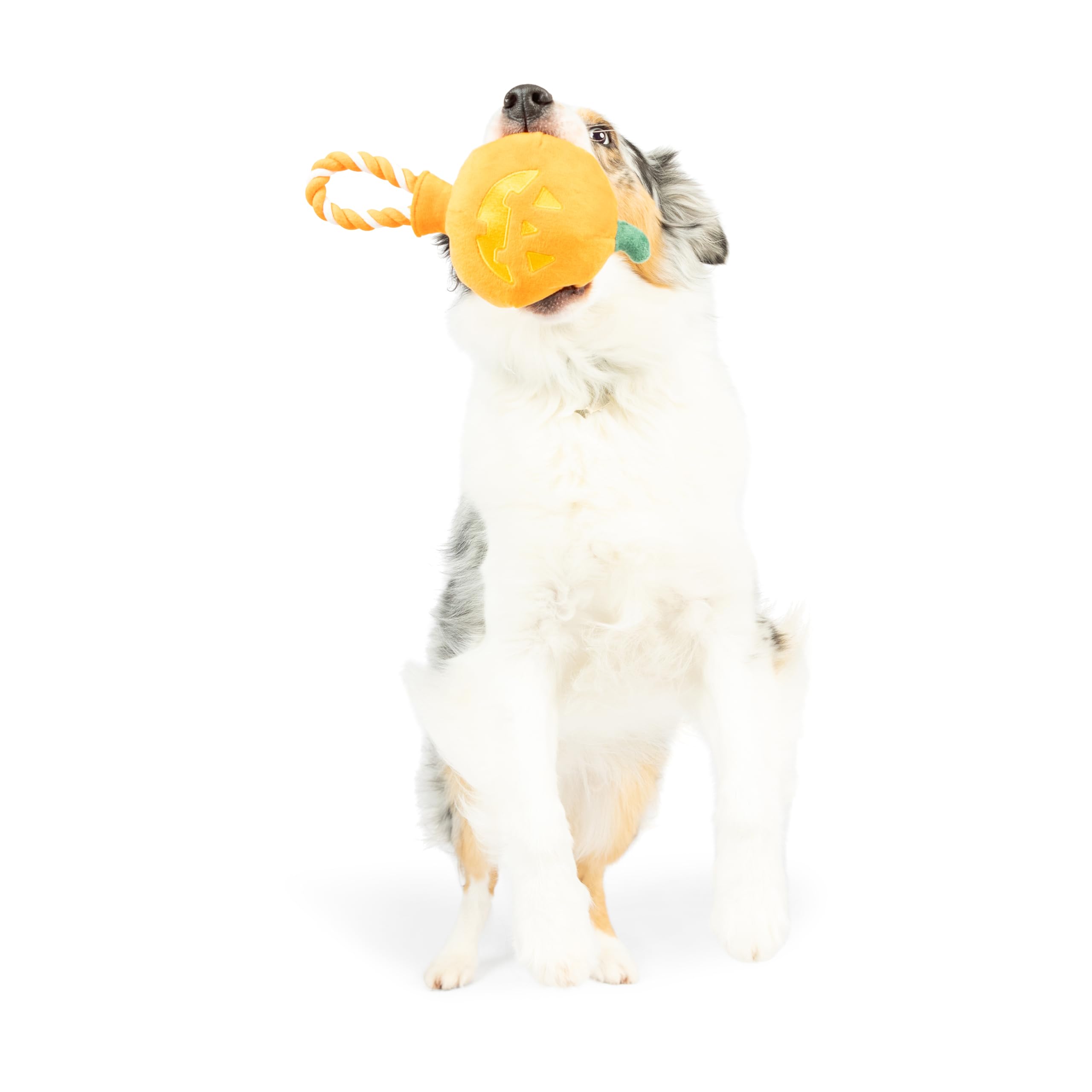 Huxley & Kent For Dogs | Jack-O-Lantern Safety Pop | Halloween Fall Power Plush Dog Toy With Squeaker | Funny Dog Toy | Cute Dog Toy | H&K Squeaky Dog Toy