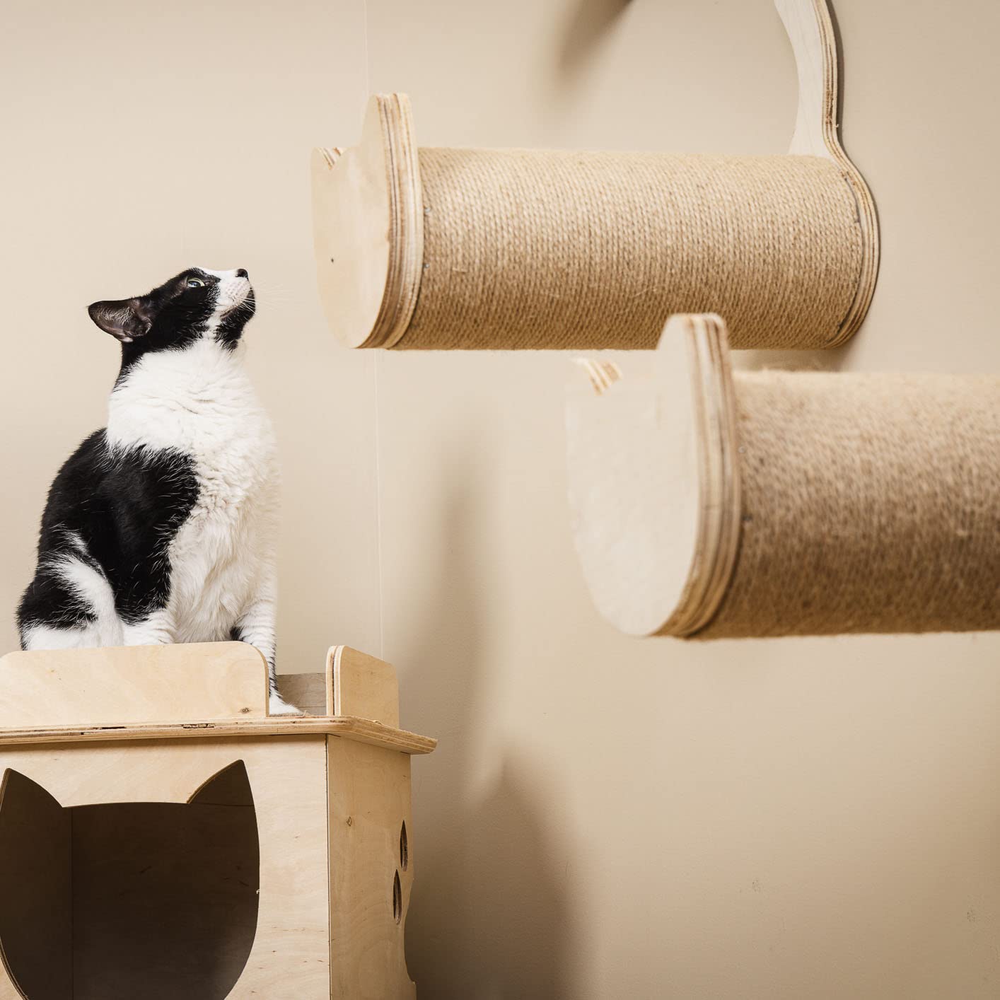 On2Pets Cat Furniture Wall-Mounted Scratcher Cat Steps, Sisal Rope Scratching Posts Floating Cat Wall Perches, Set of 2 with Cat