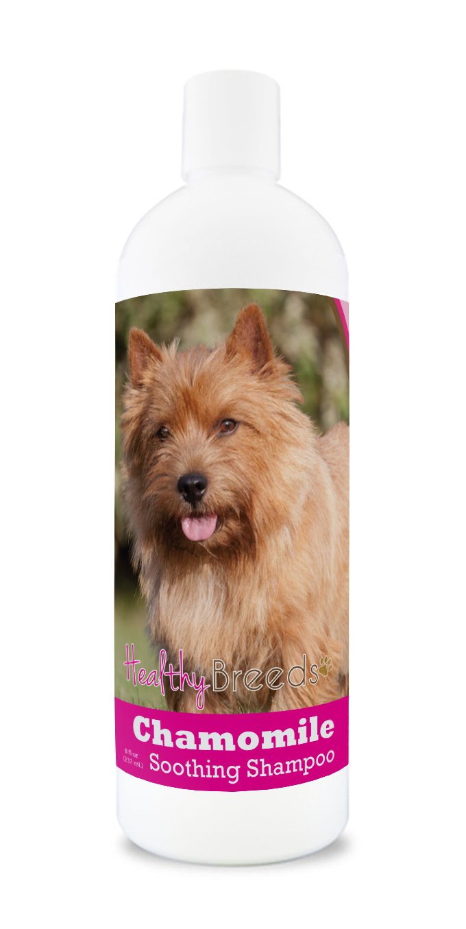 Healthy Breeds Norwich Terrier Chamomile Soothing Dog Shampoo 8 oz