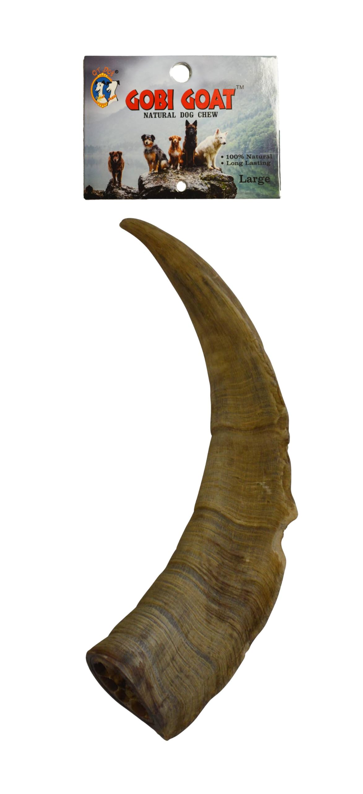QT Dog Large Gobi Goat Horn - Long-Lasting 100% All-Natural Dog Chew, Ethically Sources Protein-Packed & Low Fat Dental Chews, I